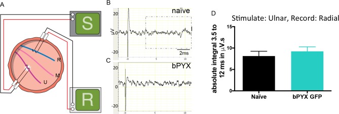 Figure 1—figure supplement 4.