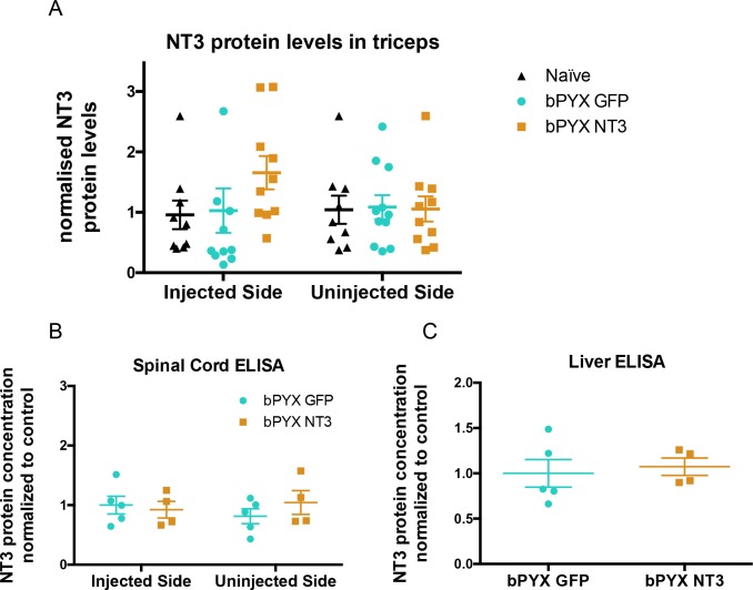 Figure 2—figure supplement 2.