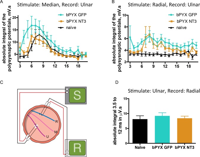 Figure 3—figure supplement 1.