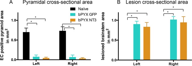 Figure 2—figure supplement 1.