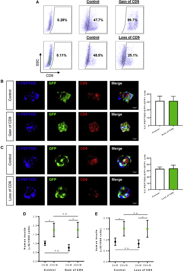 Figure 7