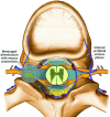 FIG 1.