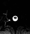 FIG 8.