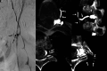 FIG 3.