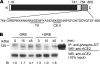 FIG. 12.