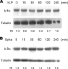 FIG. 8.