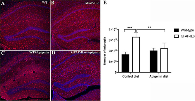 FIGURE 3