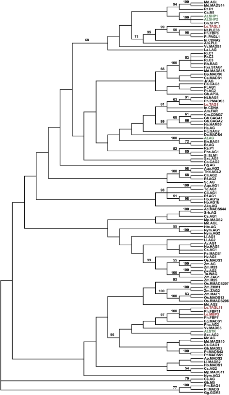 Figure 3.