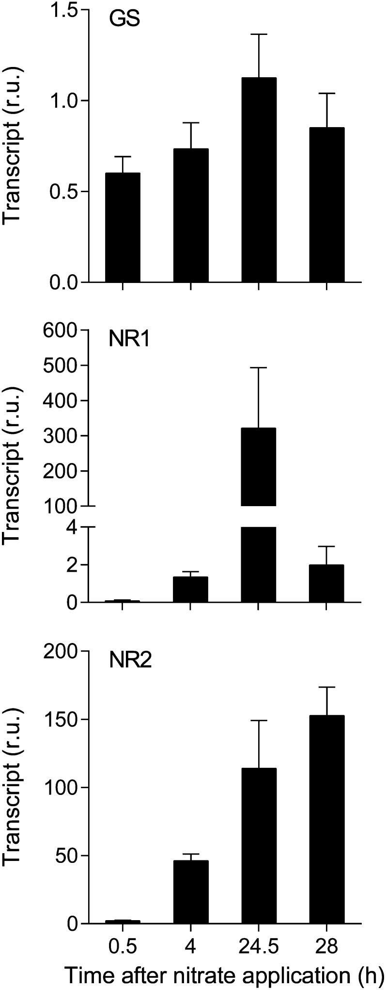 Figure 2.