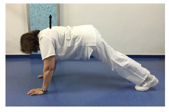 Fig. (6)