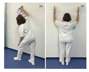 Fig. (2)