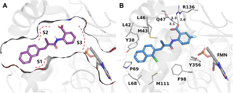 Figure 4