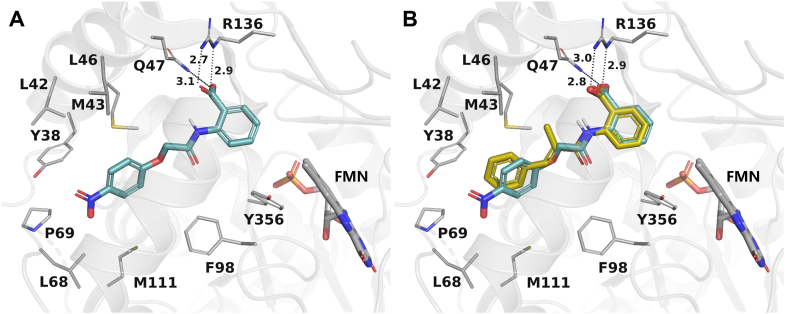 Figure 3