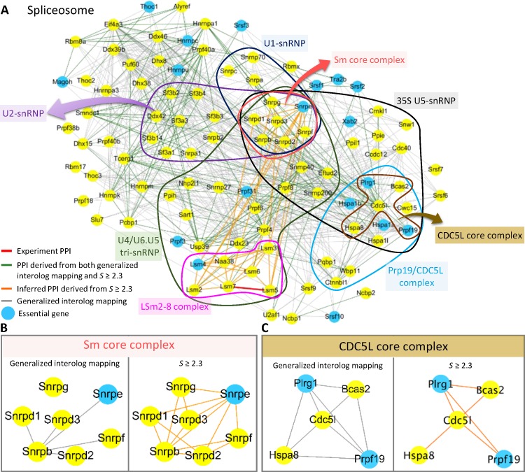 Figure 6