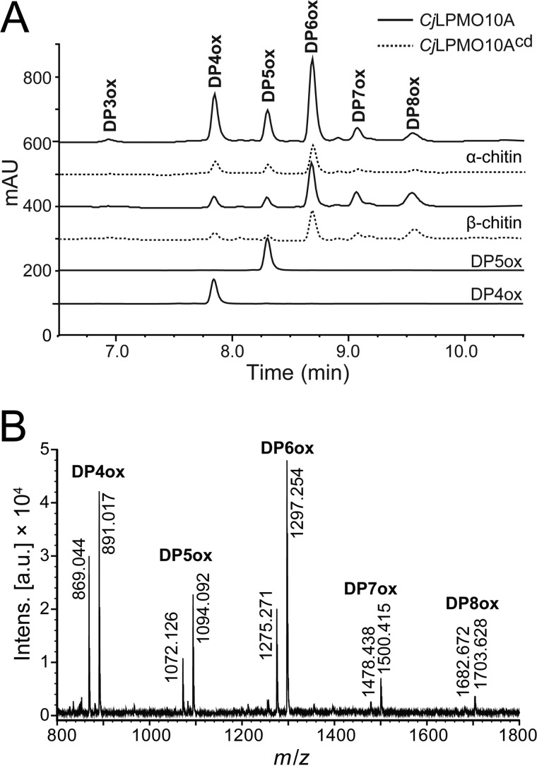 FIGURE 7.