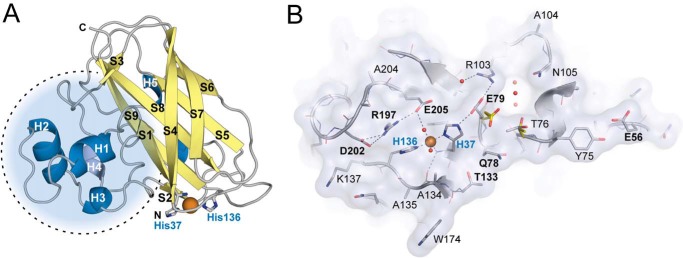 FIGURE 3.