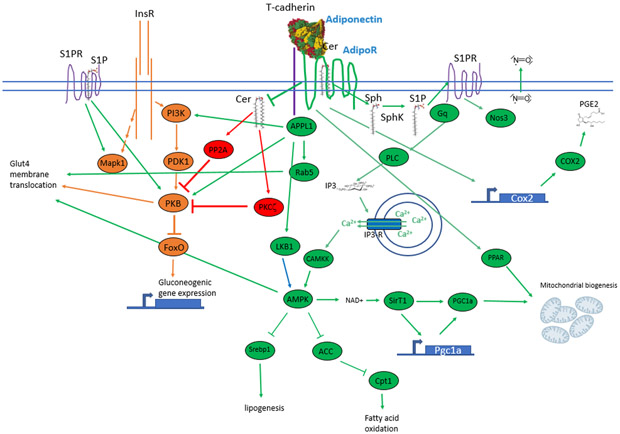 Figure 3: