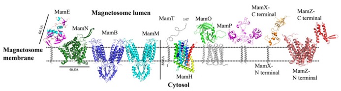 FIGURE 3