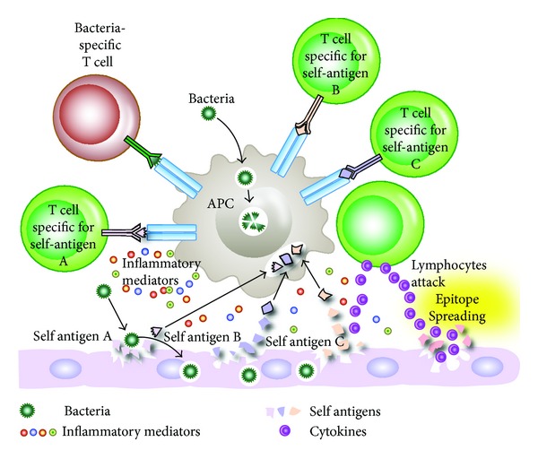 Figure 6