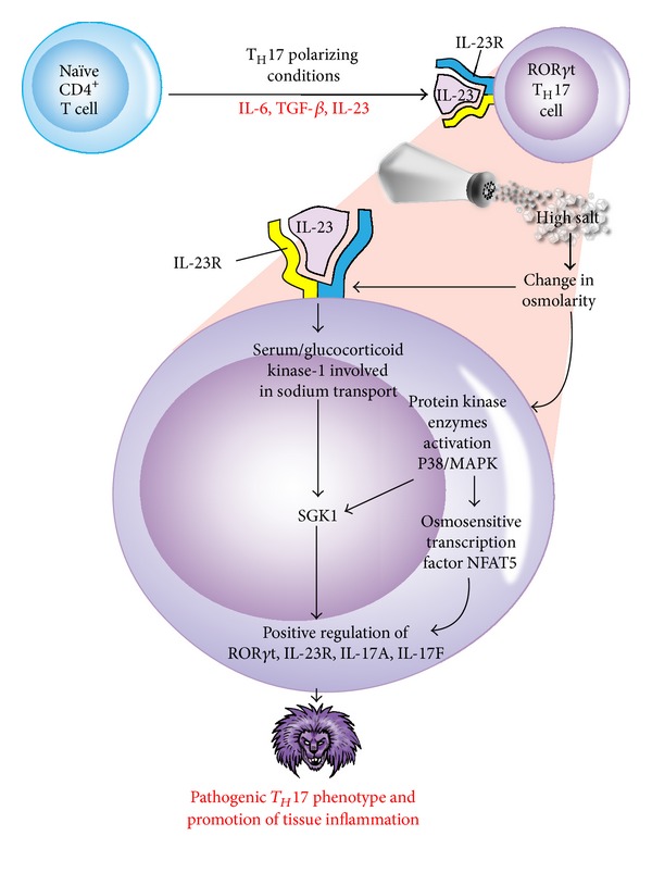 Figure 11