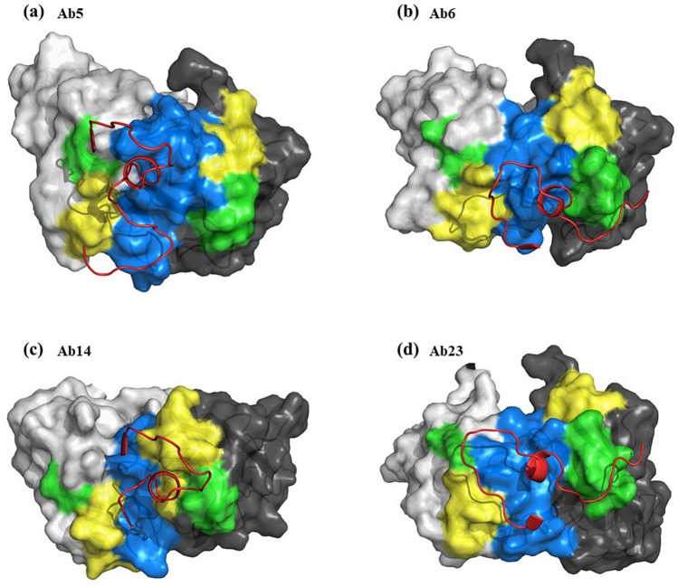 Figure 6