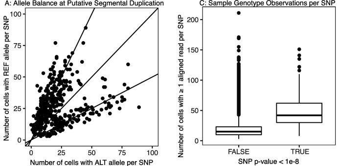 Figure 5—figure supplement 3.