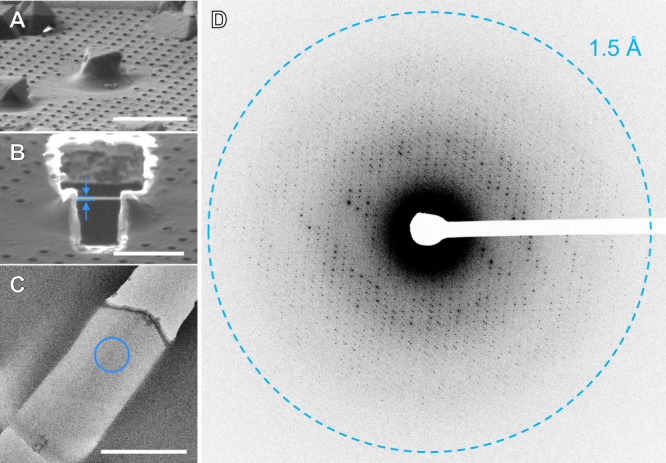 Fig. 2