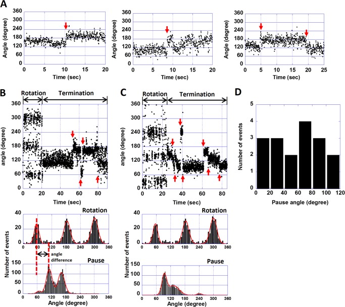 FIGURE 5.