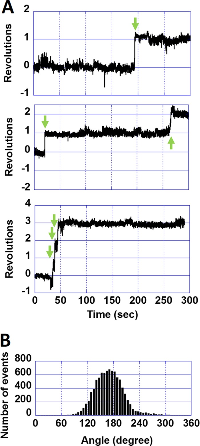 FIGURE 3.