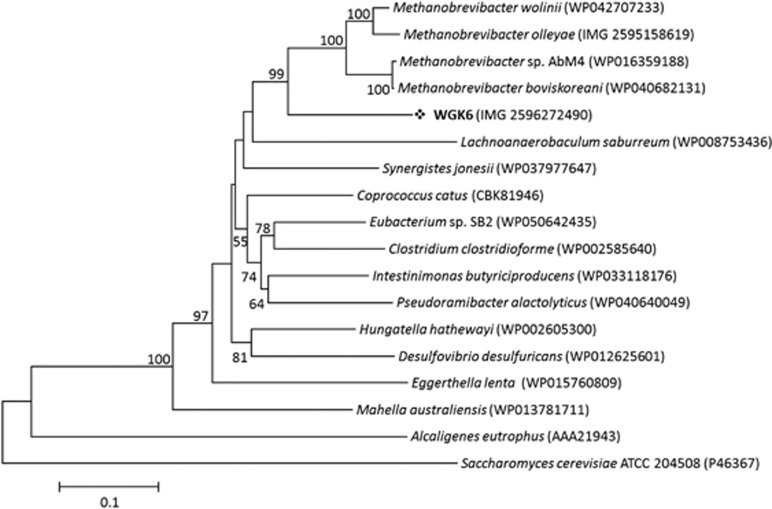 Figure 6