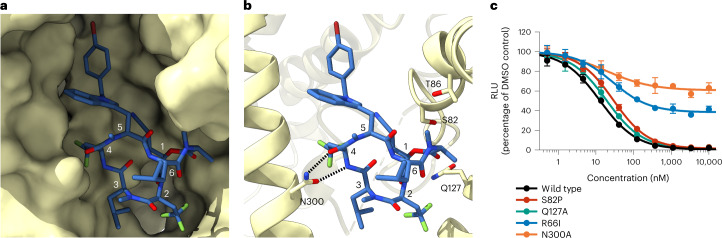 Fig. 3