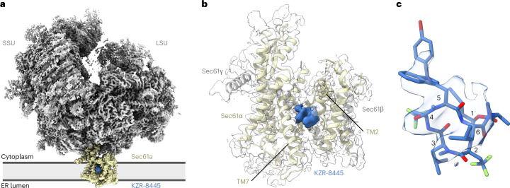 Fig. 2