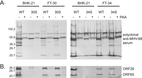 FIG. 4.