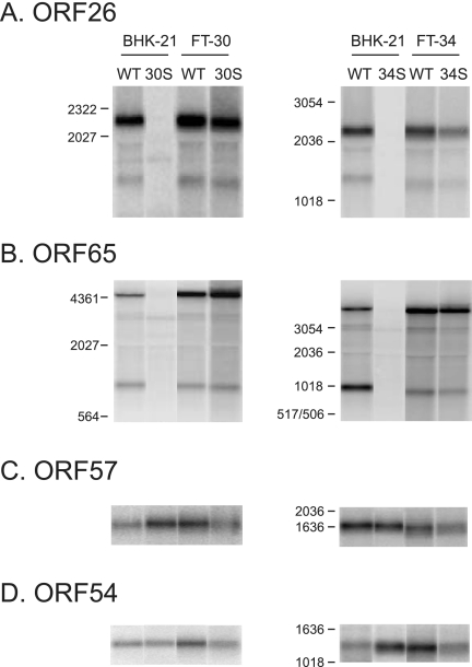 FIG. 5.