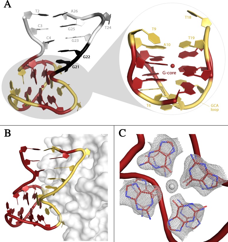 Figure 4.