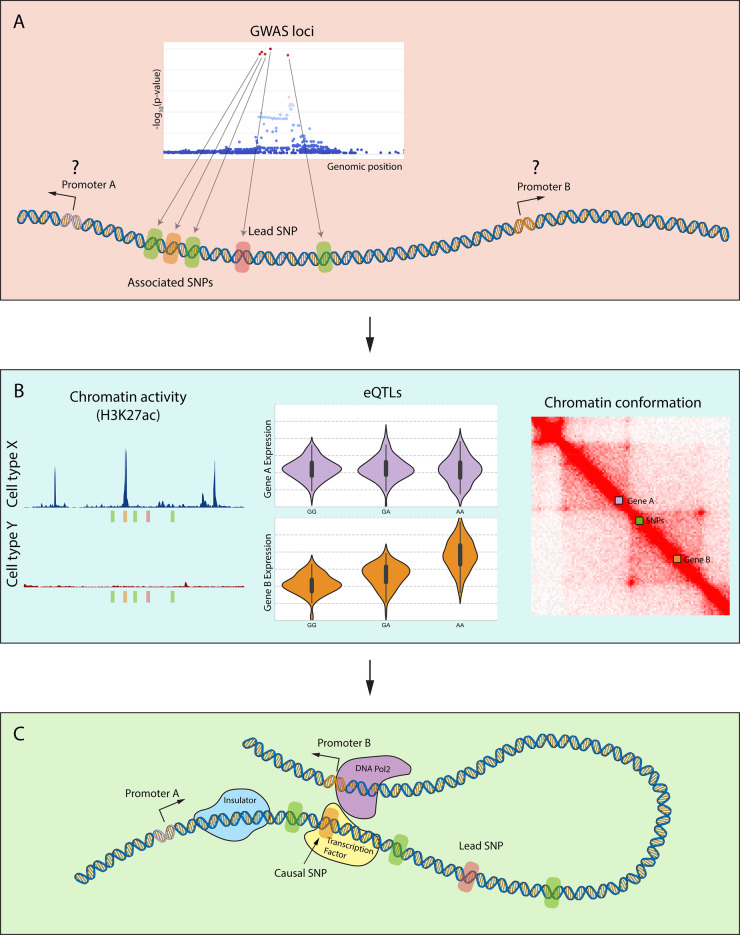 Fig. 1