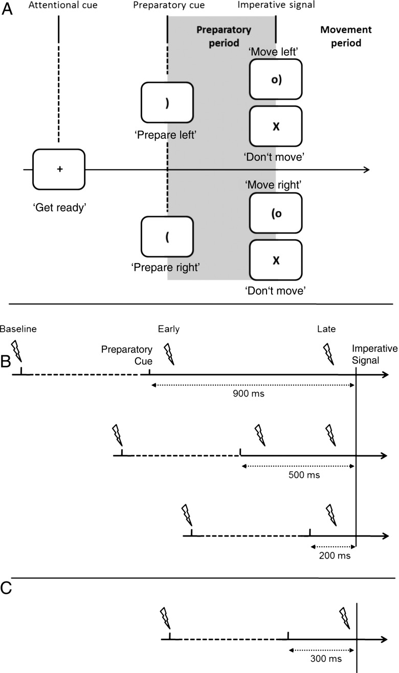 Figure 1.