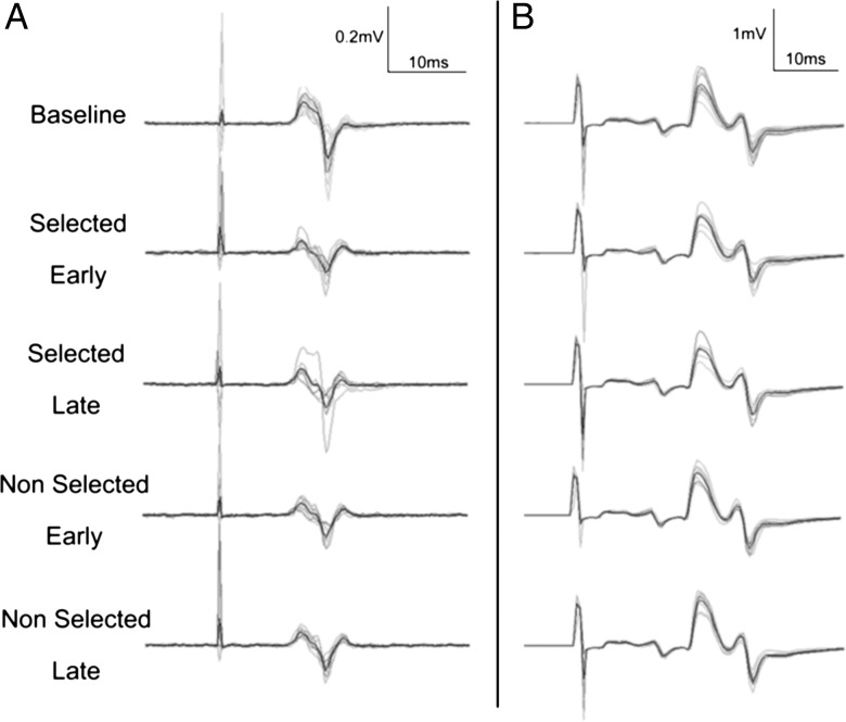 Figure 5.