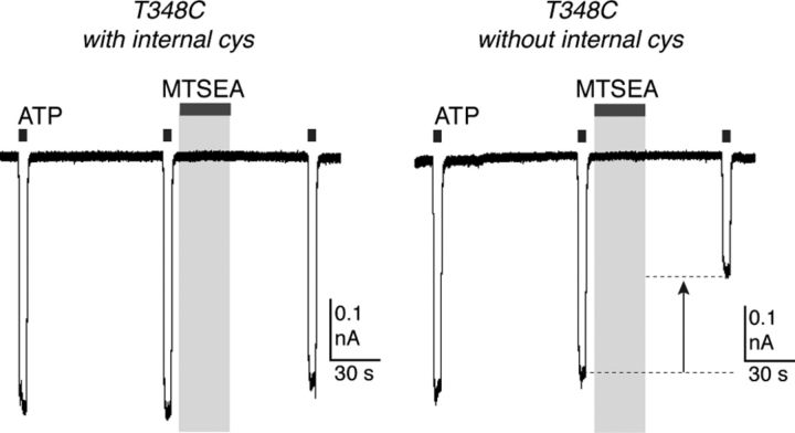 Figure 7.