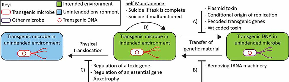 Figure 1: