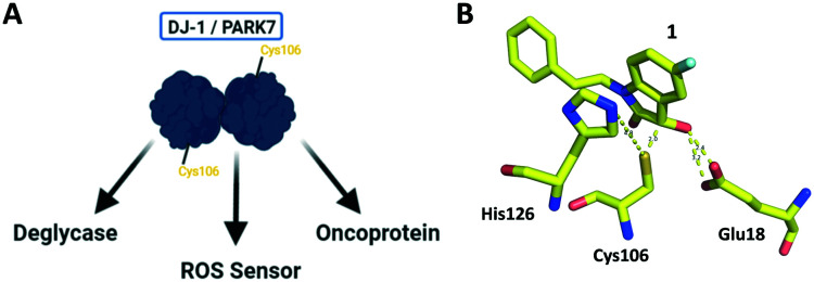 Fig. 1