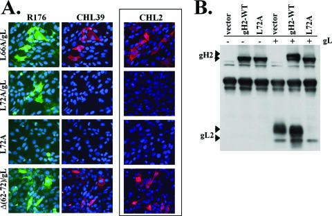 FIG. 8.