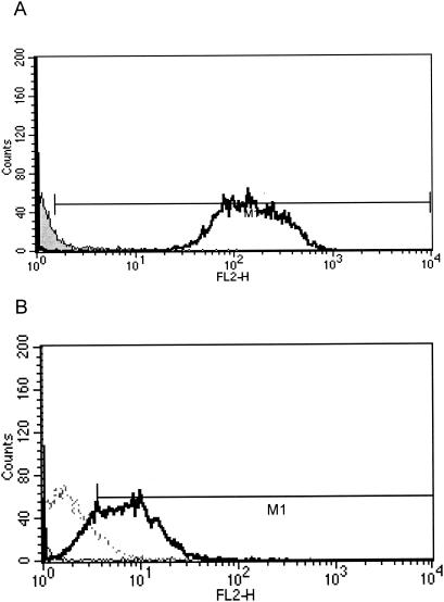 FIG. 1.