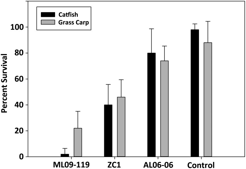 FIG 2 