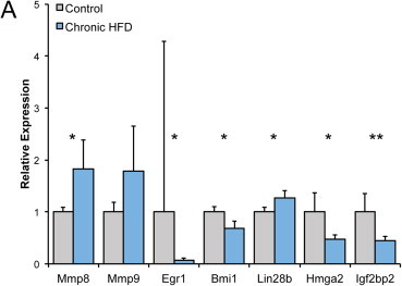 Figure 6