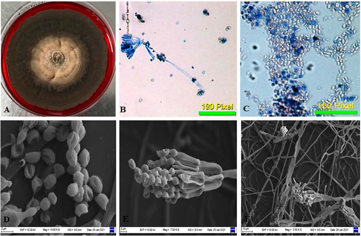 FIGURE 3