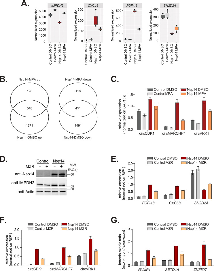 Figure 6—figure supplement 2.