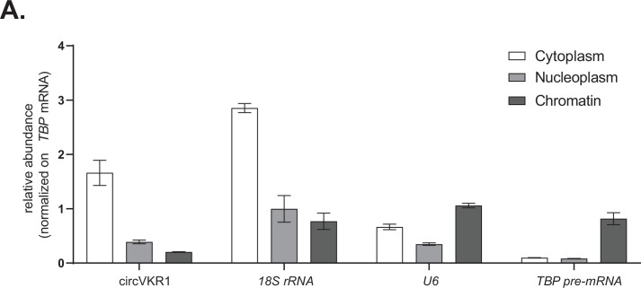 Figure 2—figure supplement 2.