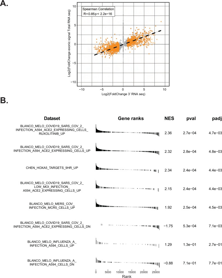 Figure 2—figure supplement 1.