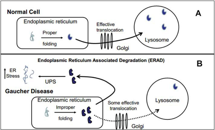 Fig. 2: